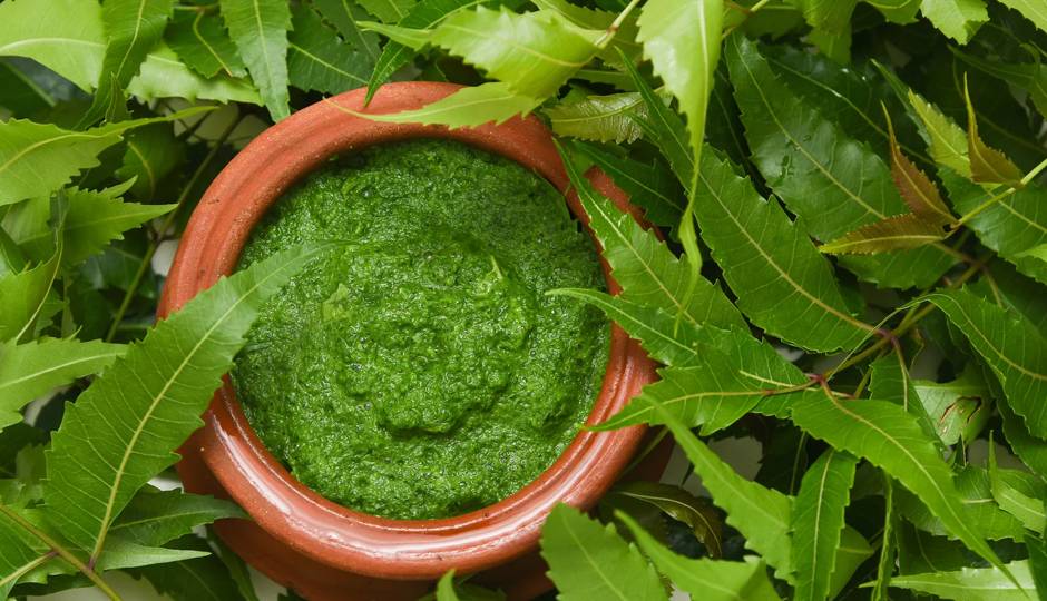 8 DIY Ways To Use Neem Leaves for Skin and Hair