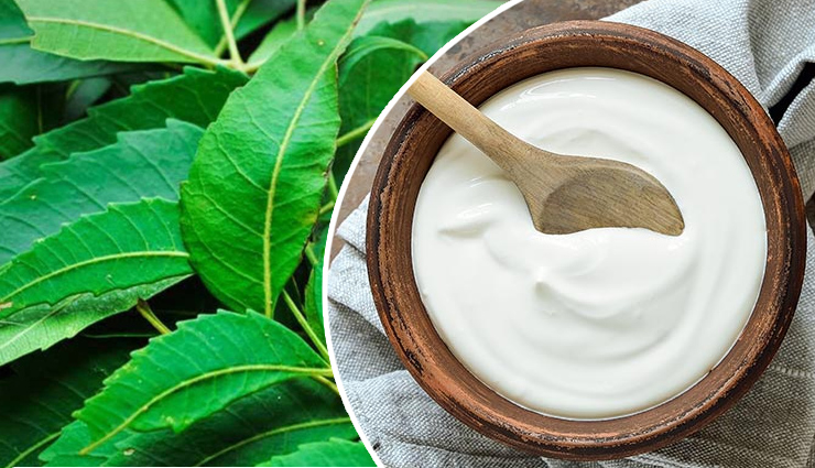 एक प्रकार का फंगल संक्रमण है दाद, निजात पाने के लिए आजमाएं ये घरेलू उपचार fungal infection,home remedies to get rid of fungal infection,skin problem,skin care tips,fungus on skin,healthy skin,skin care tips