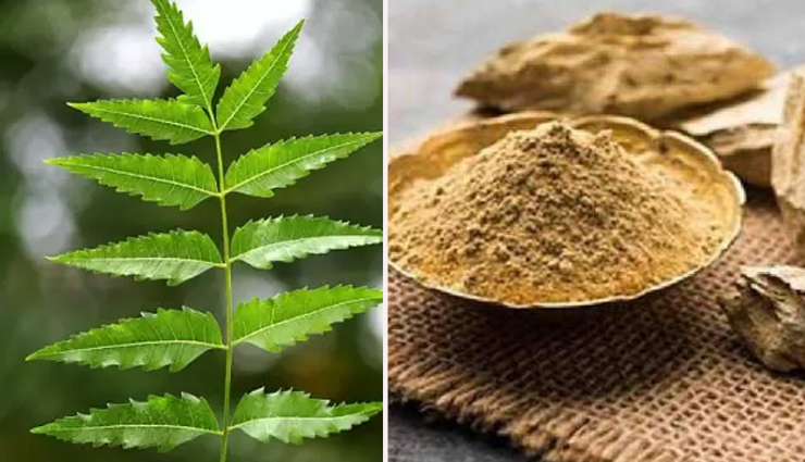 neem face packs for acne,diy neem masks for dark spots,natural neem remedies for acne,neem face packs for blemishes,homemade neem masks for skin,neem skincare for dark spots,diy neem treatments for acne scars,neem paste for pimple-prone skin,neem mask recipes for clear skin,neem leaves for skin blemishes,neem face masks for acne scars,neem remedies for skin blemishes,natural neem solutions for pimples,diy neem treatments for pigmentation,homemade neem masks for acne marks,neem paste for spot-prone skin,neem leaves for fading dark spots,diy neem face packs for troubled skin,neem mask for reducing acne blemishes,neem-based remedies for acne scars