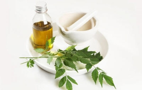 neem oil,beauty benefits of neem oil,beauty tips,skin care tips