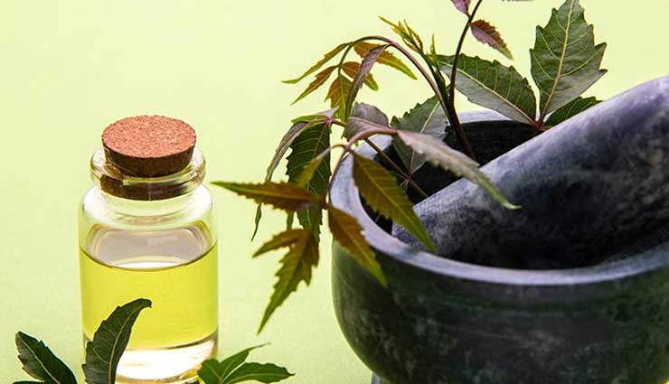 neem oil,beauty benefits of neem oil,neem oil for hair,neem oil for skin,hair care tips,skin care tips,beauty tips