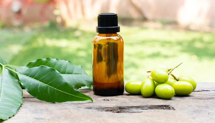 diy hair fall treatments,hair fall remedies in monsoon,monsoon hair care tips,reduce hair fall naturally,home remedies for hair loss,aloe vera for hair fall,coconut oil for hair loss,fenugreek seeds for hair,onion juice for hair growth