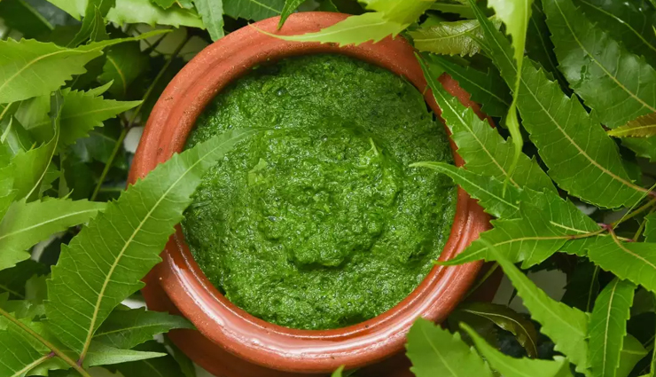 neem health benefits,neem uses in ayurveda,antimicrobial properties of neem,neem for skin and health,neem antiseptic benefits,anti-inflammatory neem benefits,neem tree benefits,neem leaf benefits,neem extract benefits,neem herbal remedies