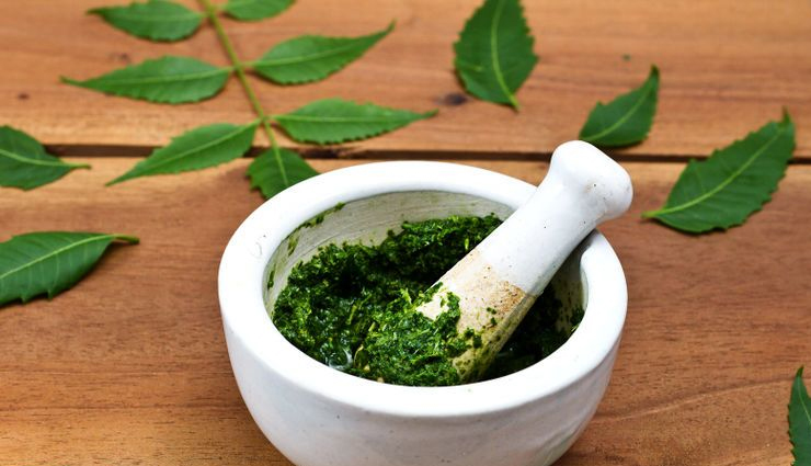 How to use curry leaves for hair growth  India Today