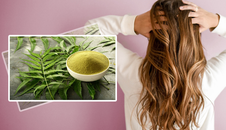 10 Least Known Benefits of Using Neem Powder for Hair
