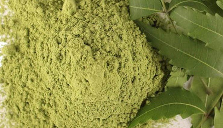 neem powder,health benefits of neem powder,Health tips,fitness tips,neem benefits