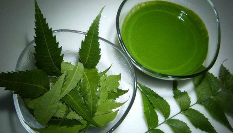 healthy hair,homemade shampoo,shampoo for hair,hair homemade shampoo,beauty,beauty tips