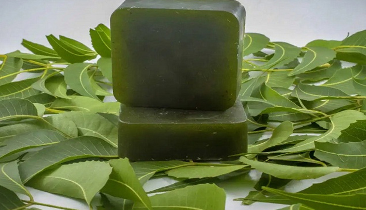 औषधीय गुणों से भरपूर है नीम का साबुन, जानें इसे बनाने का आसान तरीका