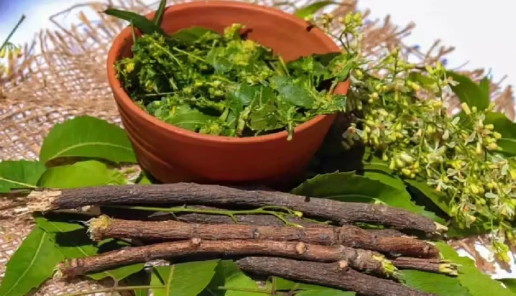 10 Most Amazing Health Benefits of Brushing With Neem Stick