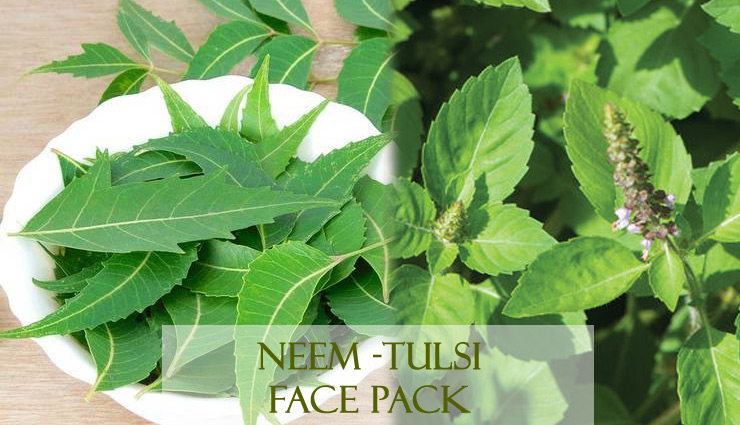 tulsi face packs,tulsi face packs for skin,benefits of tulsi face packs,homemade tulsi face packs,beauty,skin care tips,yogurt and tulsi face pack,gram flour and tulsi face pack,neem and tulsi face pack,oatmeal and tulsi face pack,multani mitti and tulsi face pack,skin care tips