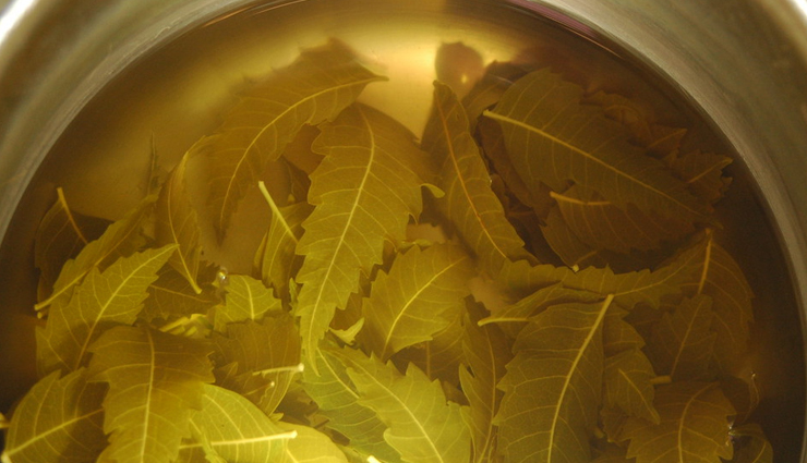 ways to use neem,use neem to get rid of dandruff,tips to remove dandruff,tips to use neem to get rid of dandruff,beauty tips,beauty hacks