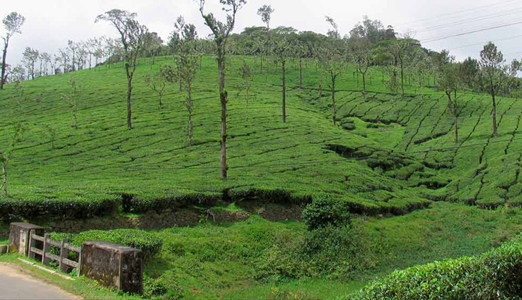 beautiful places near coimbatore,best tourist spots near coimbatore,weekend getaways from coimbatore,hill stations near coimbatore,places to visit near coimbatore within 100 km,scenic destinations near coimbatore,coimbatore travel guide,natural attractions near coimbatore,day trips from coimbatore,top places to explore near coimbatore