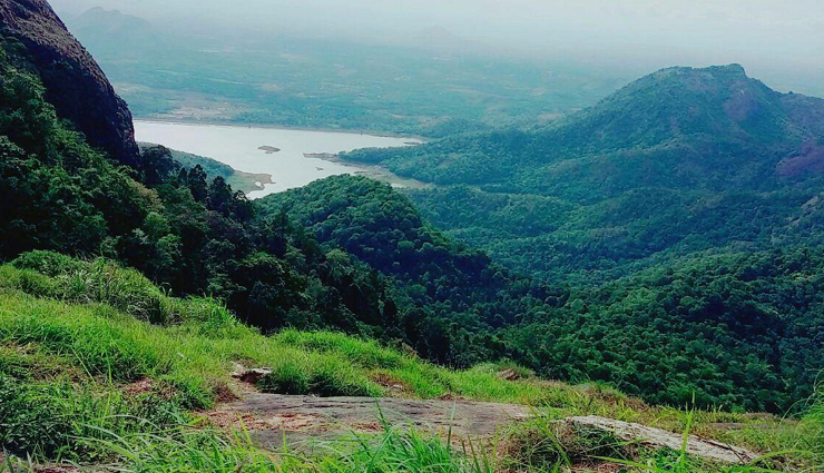 palakkad fort,palakkad fort history,tipu fort palakkad,palakkad fort timings,palakkad fort location,palakkad fort attractions,vadakkanthara temple,vadakkanthara temple palakkad,bhagavathy temple palakkad,vadakkanthara temple festival,palakkad temple architecture,vadakkanthara temple timings,dhoni waterfalls,dhoni waterfalls trek,dhoni waterfalls palakkad,dhoni waterfalls kerala,dhoni waterfalls trekking tips,best time to visit dhoni waterfalls,malampuzha dam,malampuzha dam palakkad,malampuzha dam gardens,malampuzha dam attractions,malampuzha dam entry fee,malampuzha dam boating,nelliyampathy hills,nelliyampathy hills trek,nelliyampathy hills kerala,nelliyampathy hills viewpoint,nelliyampathy hills weather,nelliyampathy hills accommodation,silent valley national park,silent valley national park kerala,silent valley national park wildlife,silent valley national park trekking,silent valley national park entry permit,silent valley national park flora and fauna,mangalam dam,mangalam dam palakkad,mangalam dam picnic spot,mangalam dam reservoir,mangalam dam location,mangalam dam visiting hours