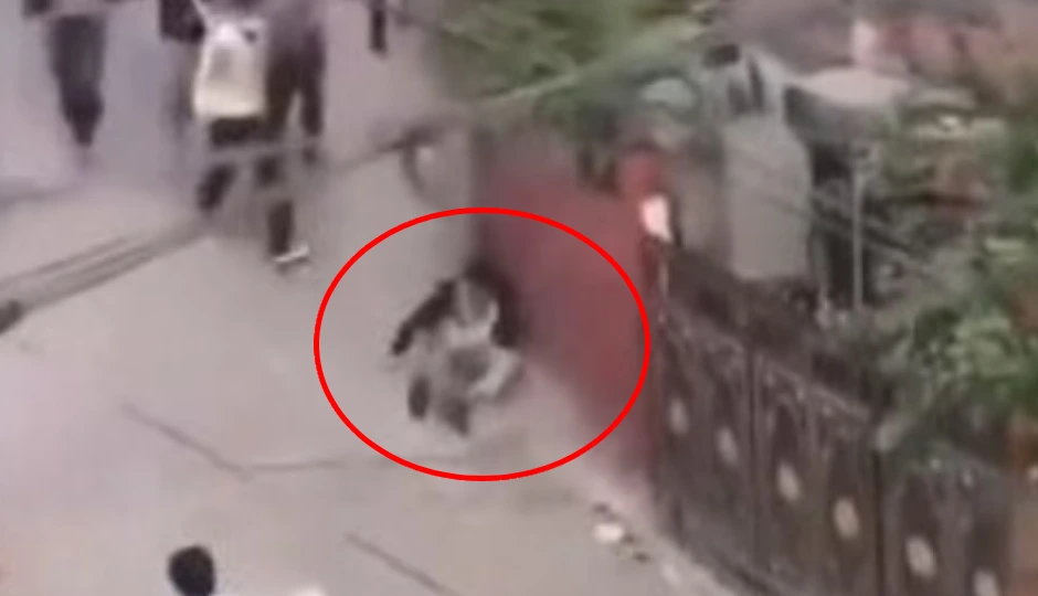 नेपाल में वित्त मंत्री को सड़क पर दौड़ाकर पीटा, भागते समय लात मारकर गिराया; Video