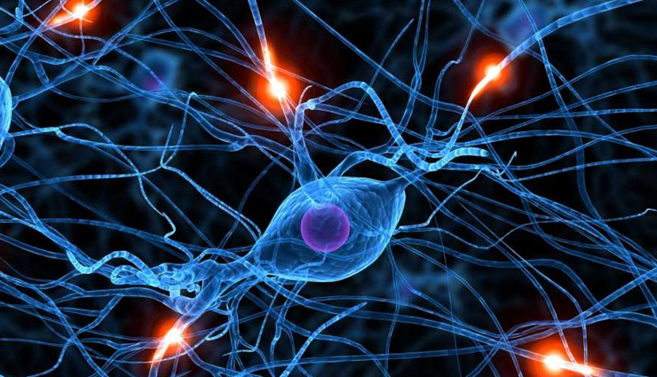 coconut water benefits,health benefits of coconut water,incredible benefits of coconut water,coconut water and its health benefits,coconut water for hydration,potassium-rich coconut water,natural electrolyte drink,coconut water for weight management,coconut water for skin health,coconut water and immune system,coconut water for digestion,antioxidants in coconut water,coconut water for cardiovascular health