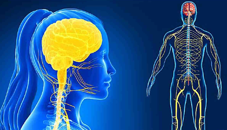 chrysanthemum tea benefits,health advantages of chrysanthemum tea,chrysanthemum herbal tea benefits,chrysanthemum tea health perks,chrysanthemum flower tea benefits,chrysanthemum tea uses,chrysanthemum tea health properties,chrysanthemum tea health benefits list,benefits of drinking chrysanthemum tea,chrysanthemum tea for wellness