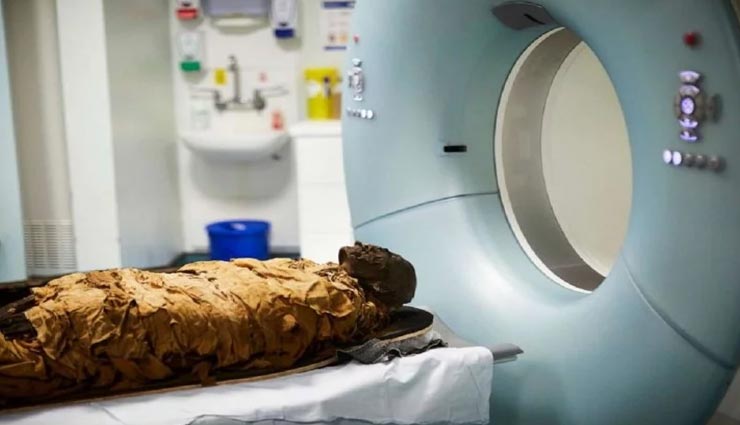 weird news,weird incident,3000 years old mummy,ancient egyptian mummy,nesyamun