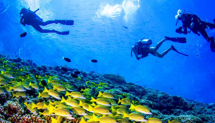 snorkeling in india,best snorkeling spots in india,snorkeling destinations india,andaman snorkeling sites,netrani island snorkeling,lakshadweep snorkeling,snorkeling in goa,tarkarli snorkeling spots,top places for snorkeling in india,marine life snorkeling india