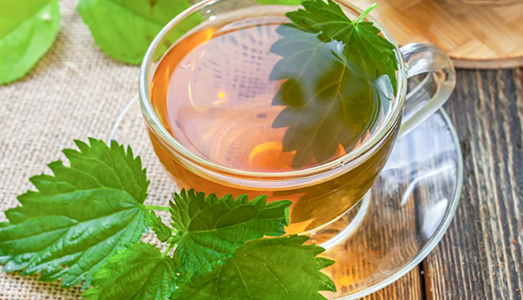 nose bleeding,home remedies to treat nose bleeding,nose bleeding cure tips,Health,Health tips