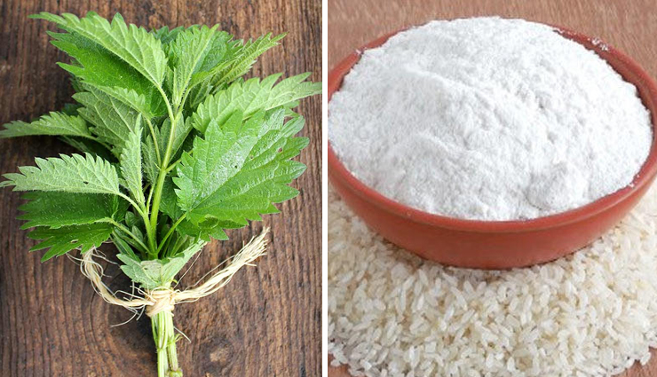 upper lip hair removal,natural ways to remove lip hair,home remedies for lip hair removal,removing lip hair naturally,upper lip hair removal methods,diy lip hair removal,natural upper lip hair removal,at-home lip hair removal,effective lip hair removal tips,home-based lip hair removal,facial hair removal diy,home remedies for facial hair,natural lip hair treatments,diy upper lip hair removal,safe lip hair removal methods,gentle facial hair removal,organic lip hair removal,homemade lip hair solutions,effective natural hair removal,diy waxing for upper lip,herbal lip hair removal,at-home tweezing methods,chemical-free hair removal,diy sugaring for lip hair,best natural hair removal techniques