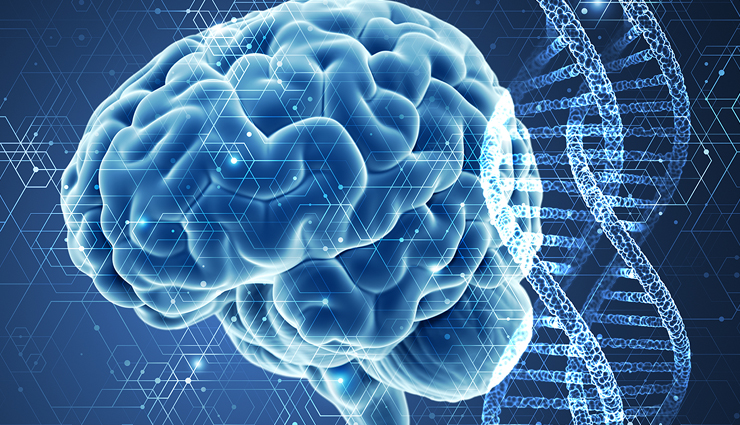 black cherry,black cherry benefits for skin,black cherry benefits in pregnancy,black cherry juice benefits,black cherry incense benefits,black cherry fruit benefits,black cherry benefits and side effects,black cherry health benefits side effects,black cherry tree benefits and side effects,black cherry bark benefits,black cherry berry tea benefits,benefits of black cherry berry herbal tea,dried black cherry benefits,black cherry extract benefits,black cherry essential oil benefits,frozen black cherry health benefits,benefits from black cherry juice,black cherry juice health benefits,black cherry tea health benefits,black cherry extract health benefits,dried black cherries health benefits,benefits of black cherry juice,benefits of black cherry,black cherry oil benefits,black cherry benefit,black cherry skin benefits