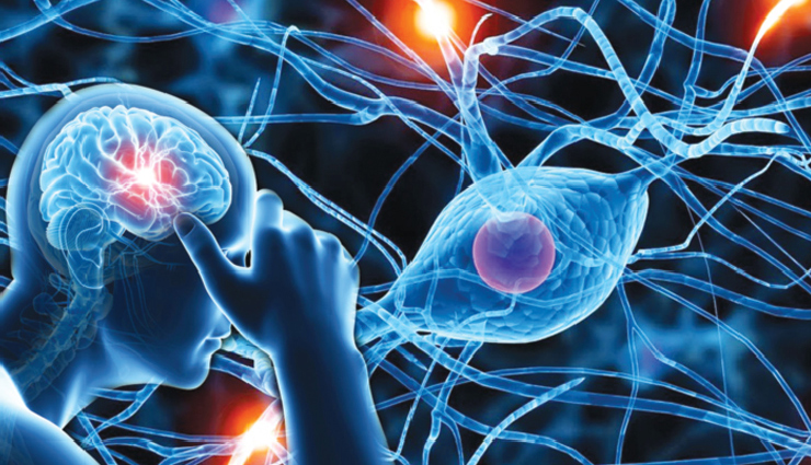 vitamin b12 benefits,health benefits of vitamin b12,vitamin b12 and red blood cell production,vitamin b12 for neurological health,vitamin b12 and energy metabolism,vitamin b12-rich foods,top food sources of vitamin b12,clams and vitamin b12,liver and vitamin b12,vegetarian sources of vitamin b12