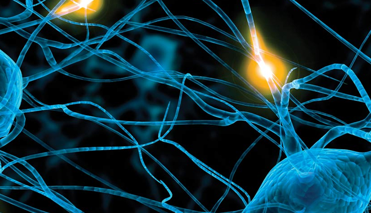 health benefits of spinach,benefits of spinach,spinach benefits,amazing benefits of spinach,healthy living,Health tips