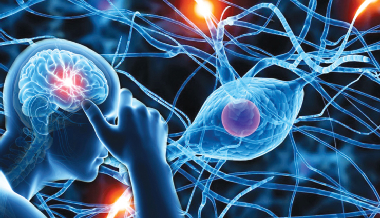 health benefits of brahmi,brahmi cognitive enhancement,brahmi for stress relief,brahmi antioxidant properties,brahmi anti-inflammatory,brahmi neuroprotective benefits,brahmi for cardiovascular health,brahmi digestive support,brahmi skin health,brahmi herbal benefits