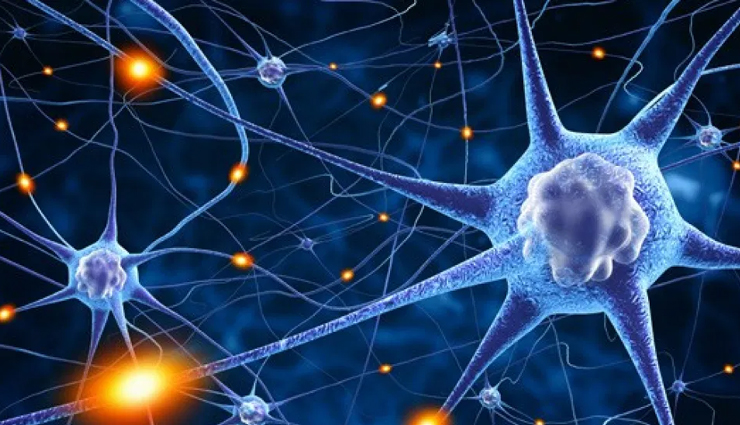 brown rice,brown rice benefits,healthy food brown rice,basmati rice,white rice benefits,health benefits of brown rice,Health,Health tips