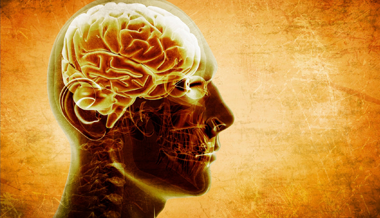 cannabidiol oil,cannabidiol oil health benefits,healthy food cannabidiol oil,cannabidiol oil uses,benefits of cannabidiol oil,benefits of cbd oil,health news,healthy living