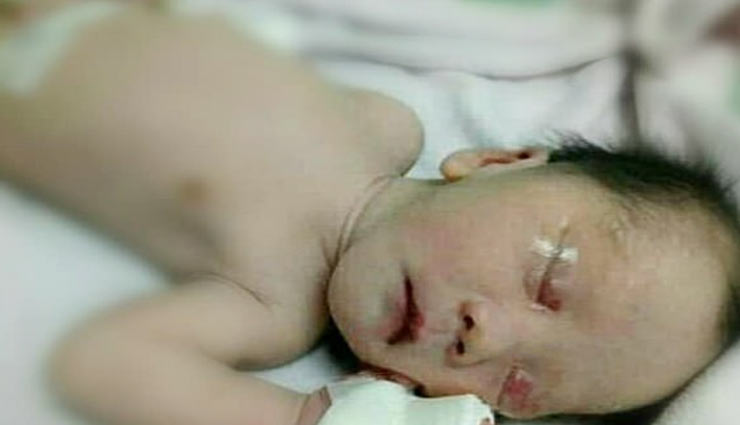 कुत्ते ने बचाई नवजात की जान, मां ने दफनाना दिया था जिंदा