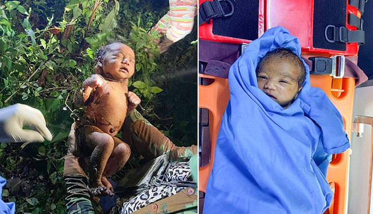 घने जंगल में कोबरा-अजगर के बीच 2 दिन तक अकेली रही नवजात बच्ची,  शरीर पर रेंग रहे थे कीड़े