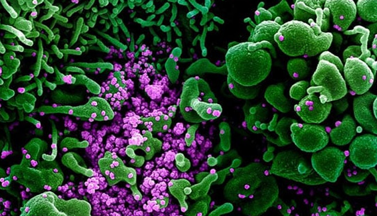 कोरोना का नया रूप आया सामने, अधिक तेजी से कर रहा लोगों को संक्रमित 