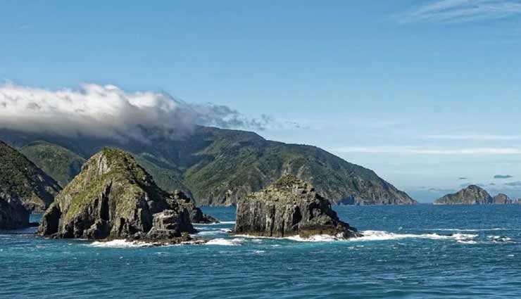 काफी दिलचस्प है न्यूजीलैंड के खोज की कहानी, आइये जानें 