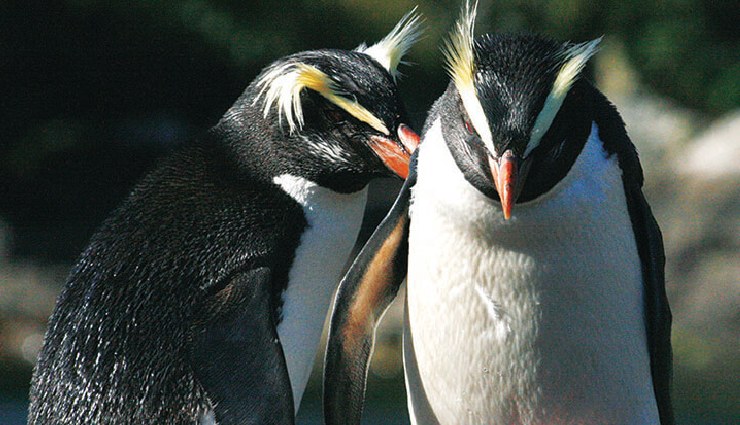 10 reasons to visit places in new zealand,new zealand travel guide,new zealand tourism,best places to visit in new zealand,top attractions in new zealand,new zealand travel tips,north island attractions,south island attractions,new zealand adventure activities,explore new zealand nature