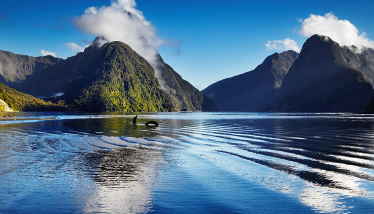 holidays,hunger struck,places to be visited around the world,5 happiest cities around the world,most happiest cities,newzealand city,portugal city,iceland city,denmark city,austria city,best city to live in around the world