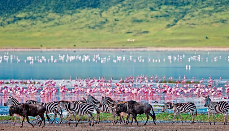 natural wonders of africa,must visit natural wonders of africa,africa,africa tourism,tourist places in africa,travel,tavel guide,travel tips