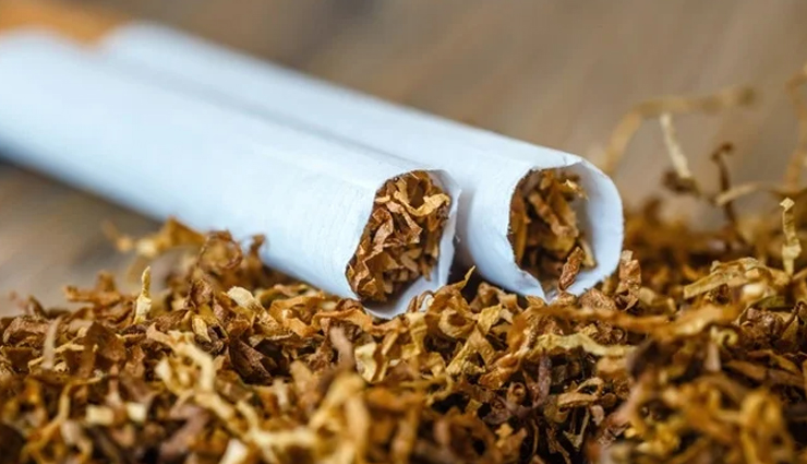 why you should not eat too much brinjal,eating excess brinjal,healthy tips,healthy living