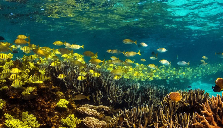 natural wonders,natural wonders in australia,australia natural wonders,travel,holidays,travel tips