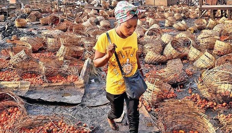 नाइजीरिया: टमाटर की एक टोकरी को लेकर शुरू हुआ झगड़ा,  अब तक 20 लोगों की हो चुकी मौत 