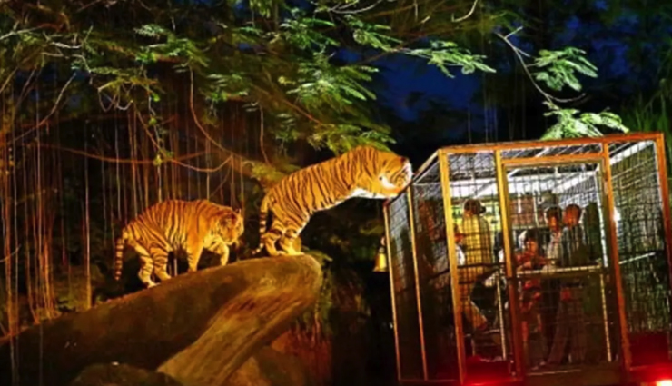 romantic places in singapore,singapore honeymoon destinations,best honeymoon spots in singapore,romantic activities for couples in singapore,honeymoon attractions in singapore,singapore honeymoon guide 2024,lovebirds paradise in singapore,memorable honeymoon experiences in singapore,romantic getaways in singapore,couple-friendly places in singapore