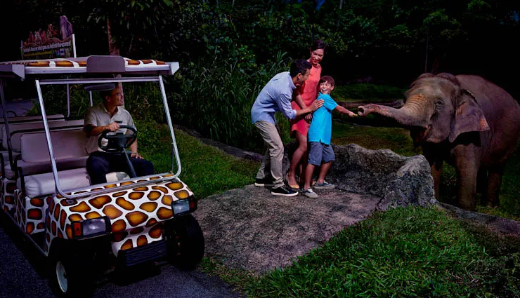 kids activities in singapore,family fun singapore,singapore with kids,child-friendly singapore attractions,fun things for kids in singapore,singapore family entertainment,playful experiences in singapore,kids playgrounds singapore,educational fun in singapore,child-friendly adventures singapore,playful learning in singapore,singapore family outings,kids play zones in singapore,interactive activities for kids,entertaining kids in singapore,singapore family destinations,unique kids experiences singapore,fun places for families singapore,creative kids activities singapore