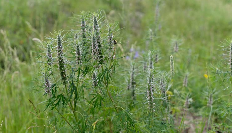 night sweats during menopause,home remedies for night sweats during menopause,Health tips,fitness tips