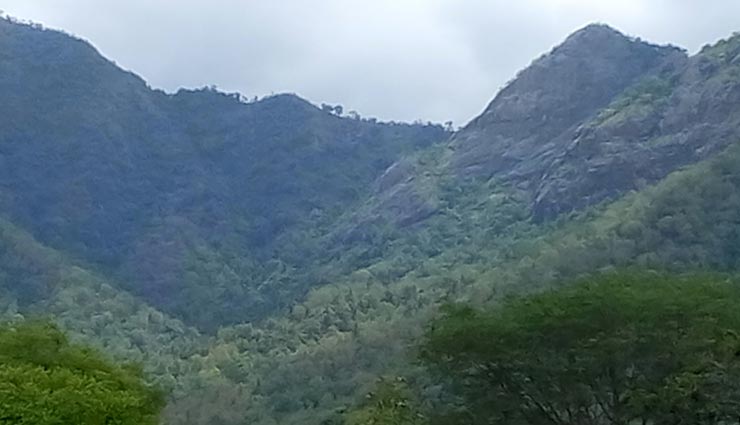 आखिर क्यों बनाई जा रही हैं भारत में नीलगिरी की पहाड़ियों के बीच सुरंग, क्या है इसका रहस्य