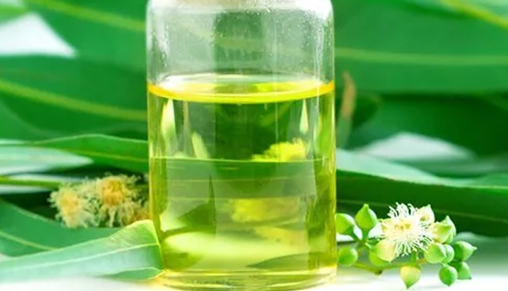 home remedies for body odor,natural ways to eliminate body odor,body odor remedies at home,get rid of body odor naturally,home remedies for underarm odor,natural remedies for body odor,eliminate body odor with home remedies,body odor remedies using household ingredients,home remedies for controlling body odor,reduce body odor naturally at home