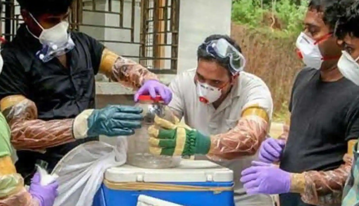 कोरोना के साथ-साथ अब निपाह वायरस ने बढ़ाई केरल की चिंता, 12 साल के बच्‍चे की हुई मौत