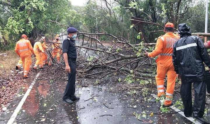 cyclone nisarga,thackeray pawar hold separate meetings,meetings to review cyclone,news,maharashtra