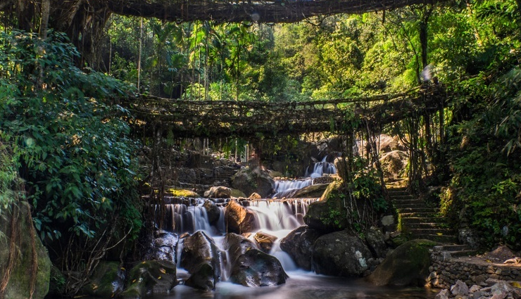 cherrapunji,tourist places to visit in cherrapunji,cherrapunji travel,tourist places in cherrapunji,travel,holidays,travel guide