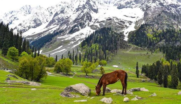 north india travel,best places to visit in north india,north india tourist destinations,north india culture,himalayas travel,spiritual places in india,north india adventure tourism,indian heritage travel,north india sightseeing,top destinations in india