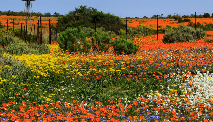 south africa,honeymoon destinations in south africa,honeymoon,destinations in south africa,holidays,trave,tourism